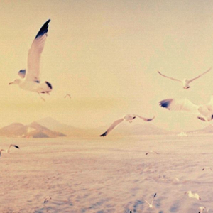 사라지지 말아요