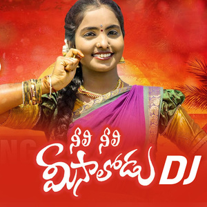 NEELI NEELI MEESALODU DJ