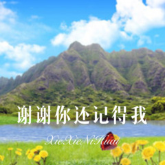 谢谢你还记得我 (DJ版)