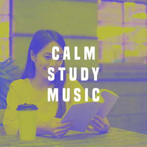 Bach: Double Violin Concerto, BWV 1043