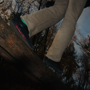 лишь бы тебя увидеть снова