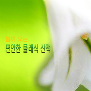 L.Boccherini : 미뉴엣