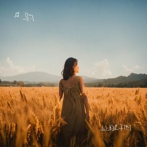 山上的麦子熟了