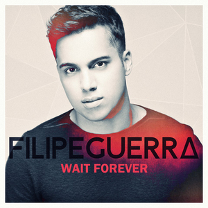 Wait Forever (Radio Edit)