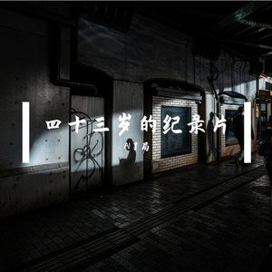四十三岁的纪录片