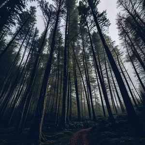 Advocate新编曲3.2