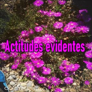 Actitudes Evidentes