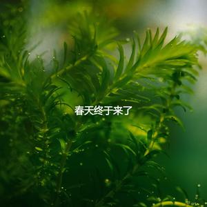 Dashing Backdrops for Rainy Study Days