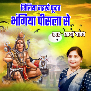 Siliya Naikhe Futat Bhangiya Pisala Se