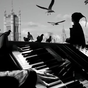 困于墙中的白玉兰