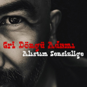 Alıştım Sensizliğe