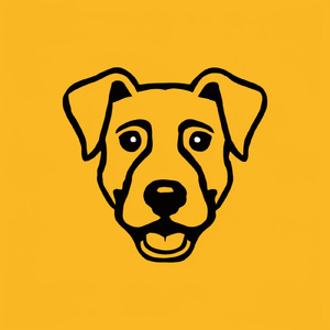 The best Rock Internacional 2000