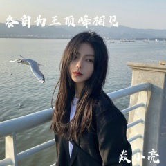 迪迦战曲