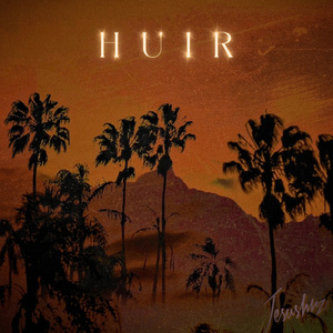 HUIR