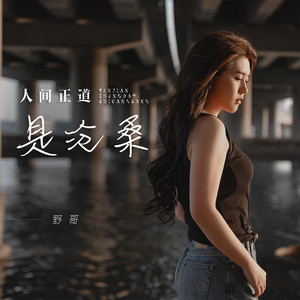 人间正道是沧桑 (合唱版)