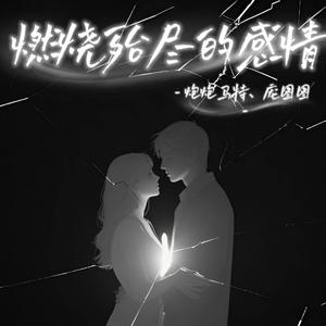 燃烧殆尽的感情