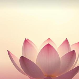 무아의 통찰 : 자아 없는 존재의 본질 (명상 가요)