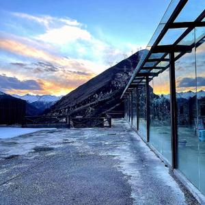 张小姐你要走吗