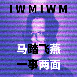 《马踏飞燕，一事两面》