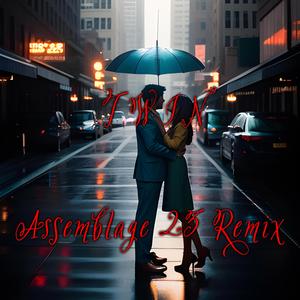 Twin (Assemblage 23 Remix)