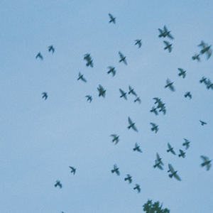 Take Breathe (prod.Lglywww)