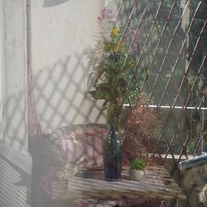 Syreeni (Special Version Slowed + Reverb Version)