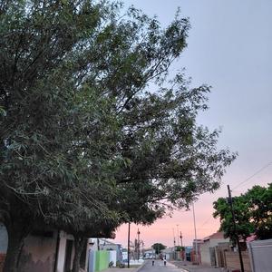 Sihamba kanje