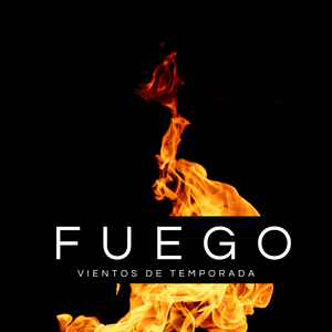 Relajantes Sonidos De Fuego