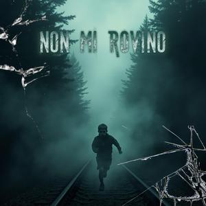 Non mi rovino