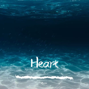 Mirror night(镜夜)