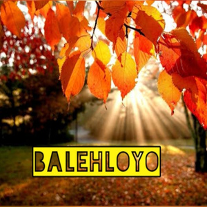 Balehloyo