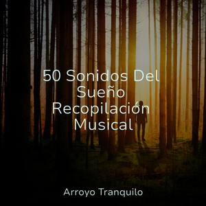 Viaje Al País De Los Sueños