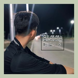 Aldidig（欺骗了我）