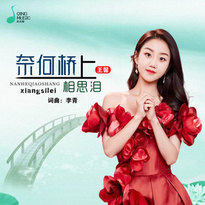 奈何桥上相思泪 (DJ默涵版)