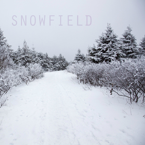 Snowfield