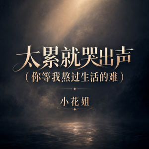 太累就哭出声(你等我熬过生活的难)