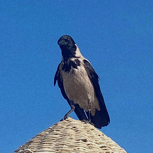 Призрачный город