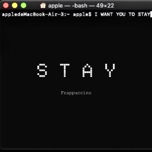 Stay
