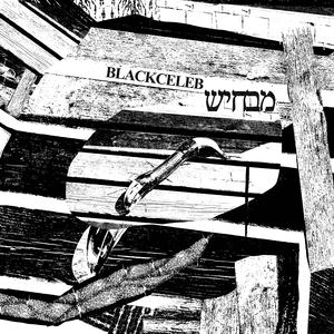 large filter feeders gathering