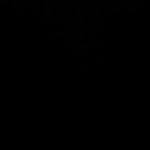 用一朵花开的时间来听