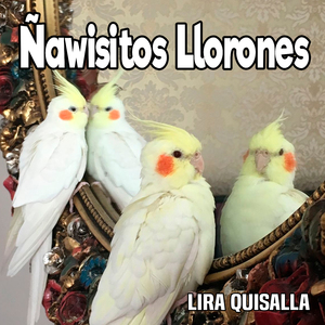 Ñawisitos Llorones