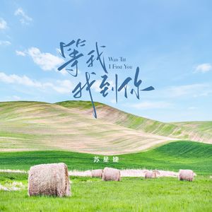 等我找到你（校园广播版）