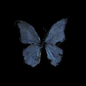 留君遥（翻自 毕然）