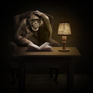 【Beat】冬日无言的孤独书店