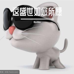 这盛世如您所愿-何畅