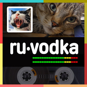 Не помню, закрыла ли я дверь. Постоянно проверяю, закрыта ли дверь. Забываю, закрыт ли замок. Не помню ничего. Постоянно спешу, забываю, закрыта ли дверь. Закрытая дверь или открытая дверь?