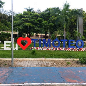 Montagem Vem Sua Maldita