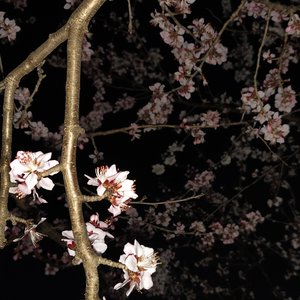 那年夏天你说我很好