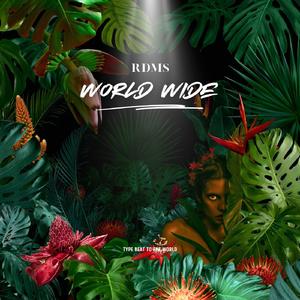 中国风｜World Music｜Tyler Type beat | Sticky