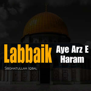 Labbaik Aye Arz E Haram